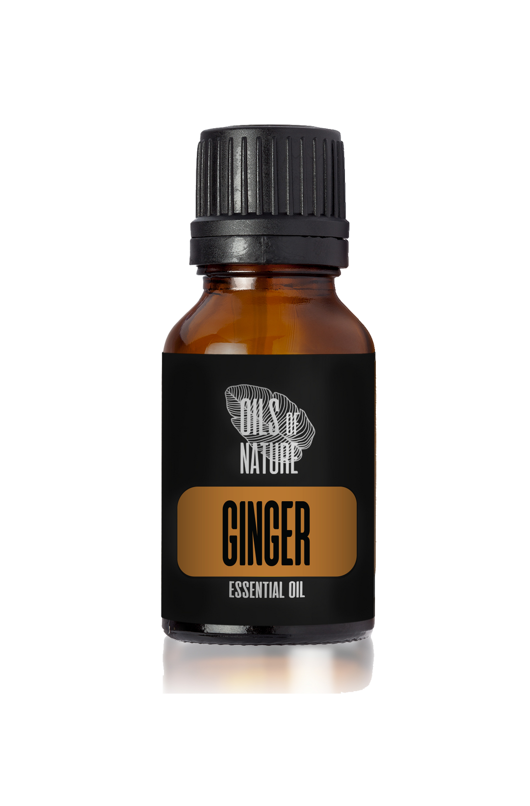 Ginger Essential Oil 5 ml